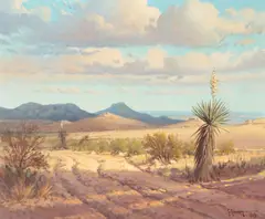 G., Shadow on Dove Mountain, oil on canvas