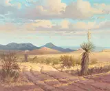 G., Shadow on Dove Mountain, oil on canvas