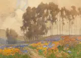 Percy Gray, Wildflowers, watercolor on paper laid to board