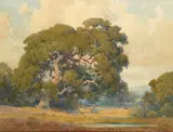 Percy Gray, Oaks by the Pond, watercolor on paper