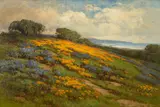 William Franklin Jackson, Poppies and Lupine (Near San Francisco Bay)