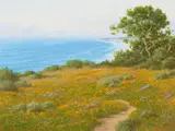 David Chapple, Torrey Pines Bloom, oil on canvas affixed to board