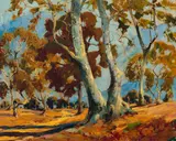 George Demont Otis, Sycamores at El Aliso