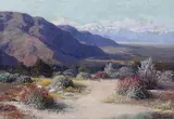 Carl Sammons, Desert Wildflowers, oil on canvas
