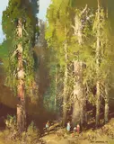 Tom Nicholas, Among the Giants (Sequoia National Park), oil on canvas