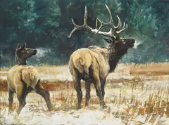 Nancy Glazier, Frosted Elk, oil on Masonite