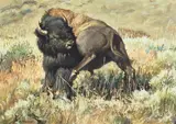 Nancy Glazier, Drat the Gnat, oil on Masonite