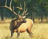 Nancy Glazier, Crown of Kings, oil on Masonite