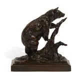 Tim Shinabarger, Bear on a Blow Down