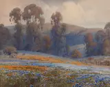 Percy Gray, Wildflowers in a Clearing, watercolor on paper