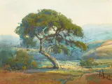 Percy Gray, Lucas Valley Landscape with Wildflowers, watercolor on paper