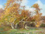 Anna Althea Hills, Trees and Wildflowers in Laguna Canyon, oil on canvas