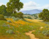 David Chapple, Santa Ynez Backcountry, oil on linen laid to Masonite