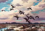 Harry Curieux Adamson, Canada Geese, Marsh Landing, oil on canvas