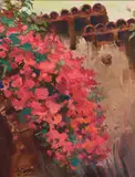 Dan Goozee, Mission Wall with Bougainvillea, oil on canvas