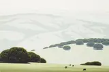 Eyvind Earle, Santa Ynez California Hillside & Grassland with Cows, oil on Masonite