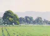 John Budicin, Green Fields, oil on board