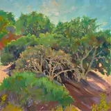 Maria del Carmen Calvo, A Grove of Trees, oil on canvas