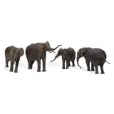 Peter Woytuk, The Elephant Group (a group of four)