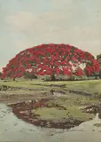 Various Photographers, Ten Historic Views of Hawaiʻi, circa 1920s, including: