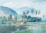 D. Howard Hitchcock, Manoa Valley from Waikīkī