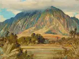D. Howard Hitchcock, Koʻolau Mountains, Oʻahu