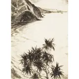 Huc-Mazelet Luquiens, Shoreline (Pandanus), 1928, Etching on laid paper
