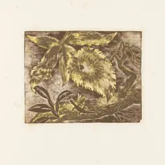 Isami Doi, Random Vintage, Twenty Original Wood-Engravings, 1941, Twenty wood engravings (2 in colors) with chine collé on wove paper