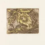 Isami Doi, Random Vintage, Twenty Original Wood-Engravings, 1941, Twenty wood engravings (2 in colors) with chine collé on wove paper