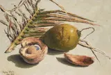 Hajime Okuda, Coconuts, 1962, oil on canvas