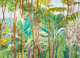 Robert Benjamin, Manoa Rainforest XIX, 1998, watercolor on paper