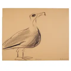 Morris Graves, Old Gull, 1943, pastel on paper
