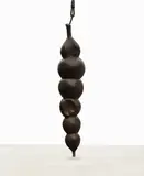 Charles Fine, Hanging Alga, 1988-89, bronze, iron, wax and rope