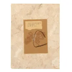 Alexis Smith, Untitled, circa 1978, ink on paper collage with wire and tape mounted on board on paper