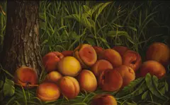 Levi Wells Prentice, Peaches, 1884, oil on canvas