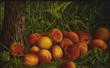 Levi Wells Prentice, Peaches, 1884, oil on canvas