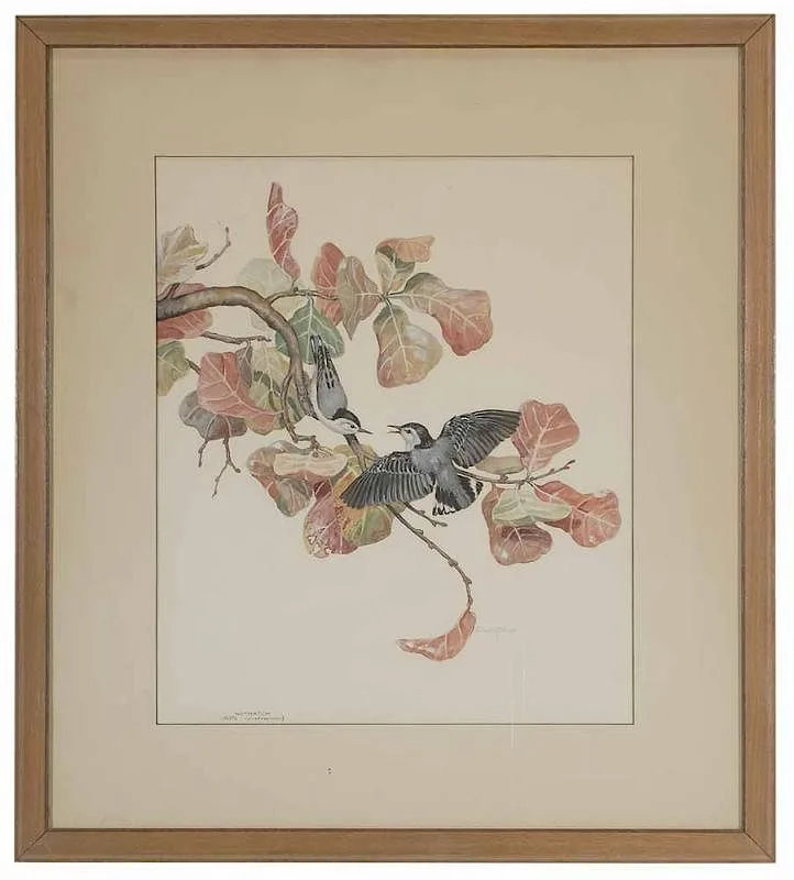 Nuthatch by Elizabeth Paxton Oliver, gouache on paper on, sold Jan 2017