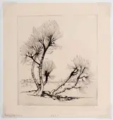 Alfred Heber Hutty, Pollard Willows (H. 43)