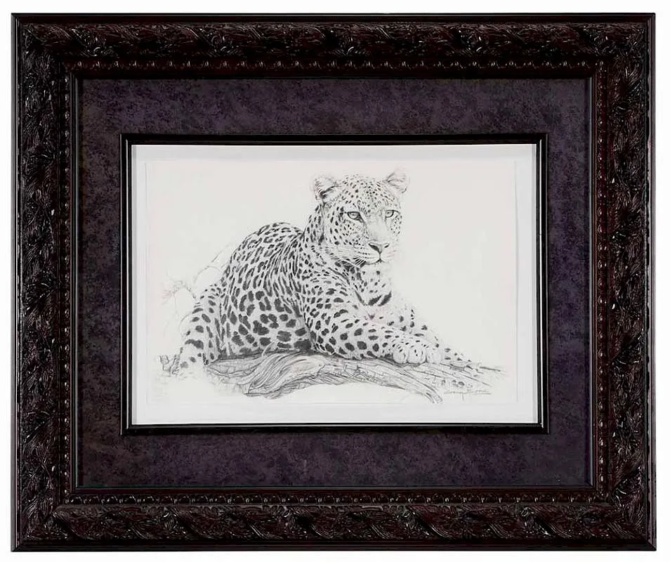 Craig Bone, Jaguar, graphite on paper