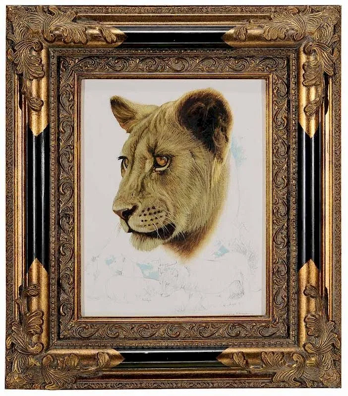 Craig Bone, Lioness, mixed media on paper