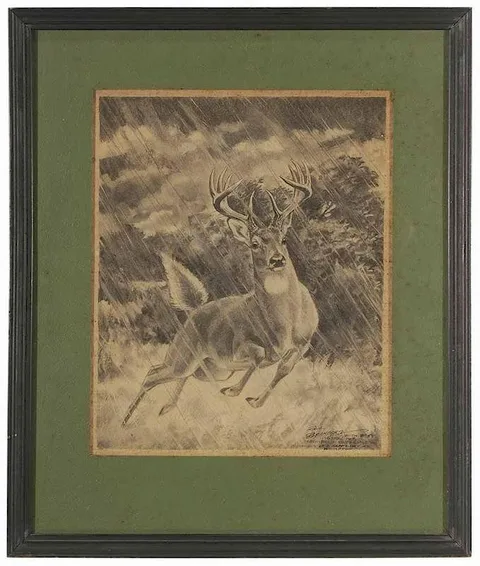 Paul Bransom, Stag in a Rain, charcoal on paper