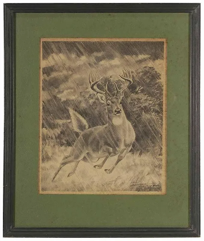 Paul Bransom, Stag in a Rain, charcoal on paper