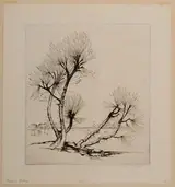 Alfred Heber Hutty, Pollard Willows