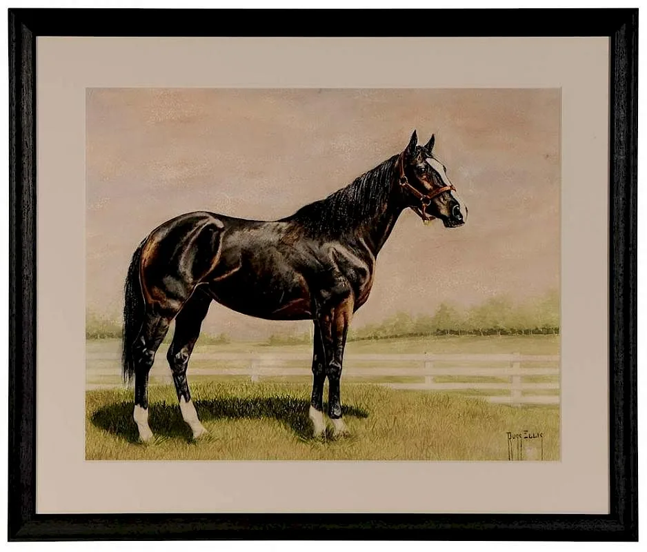 Russ Ellis, Thoroughbred Horse, watercolor on paper
