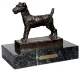 Edith Barretto Stevens Parsons, Terrier
