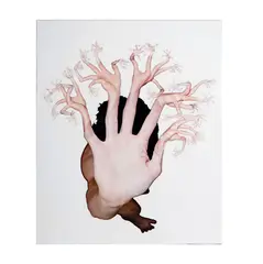 Tim Hawkinson, Untitled 2003, 2003, photographic collage