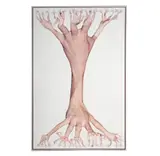 Tim Hawkinson, Gum, 2004, unique photographs on foam core on board