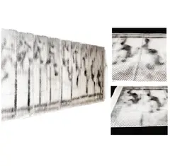 Tim Hawkinson, Somnabulist, 1999, watercolor on paper
