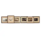 David Michael Kennedy, Six Works, each: palladium print each