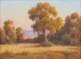 David Chapple, Evening Light, oil on artist board